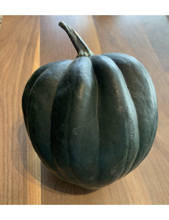 Courge poivrée bio