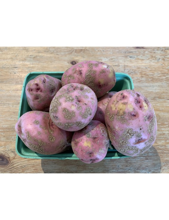 Pommes de terre rouges bio