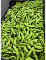 Edamame bio