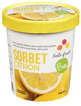 Organic lemon sorbet