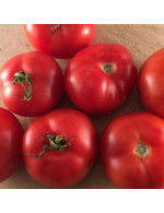 Seeds - Red tomato Québec #13