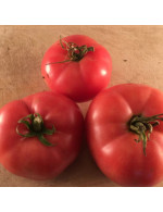Seeds - Pink tomato Mac Pink